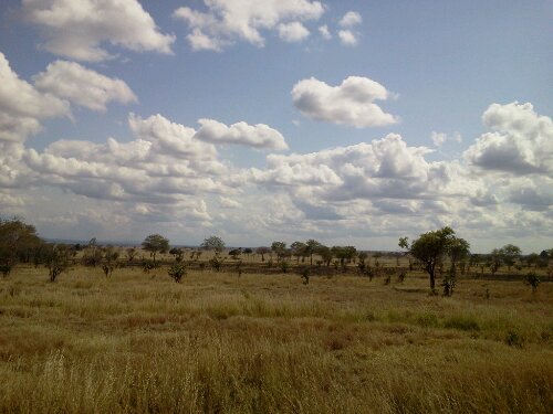 2012-07-13 10.40.08.jpg image